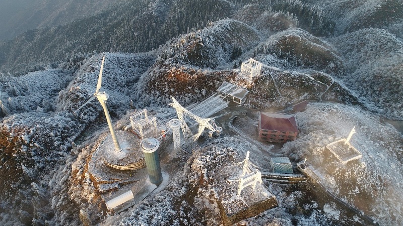 1609318027742077.jpg 1609316650455799.jpg